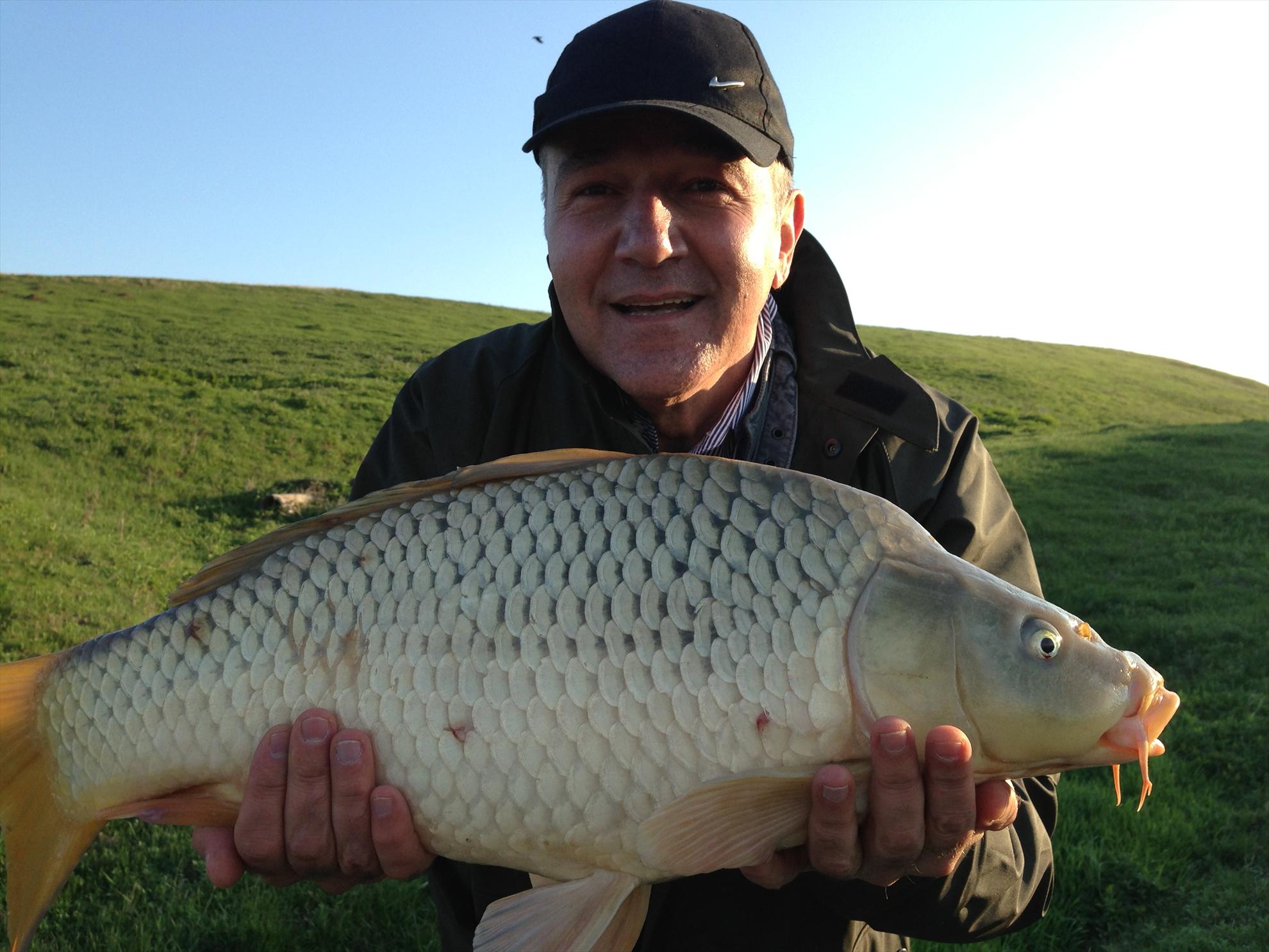 Dan Bittman populeaza balta Sulimanu